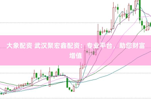 大象配资 武汉聚宏鑫配资：专业平台，助您财富增值
