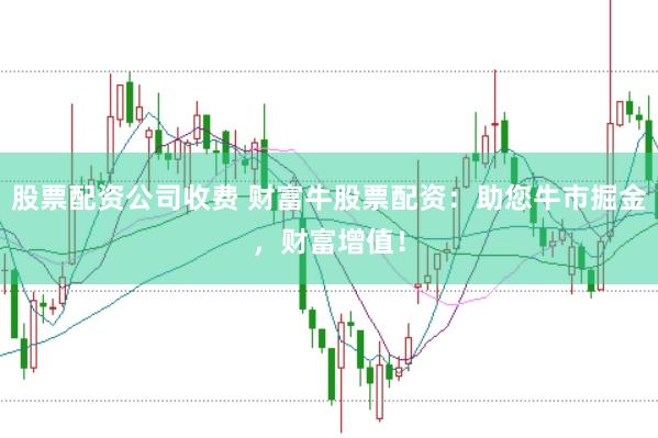 股票配资公司收费 财富牛股票配资：助您牛市掘金，财富增值！