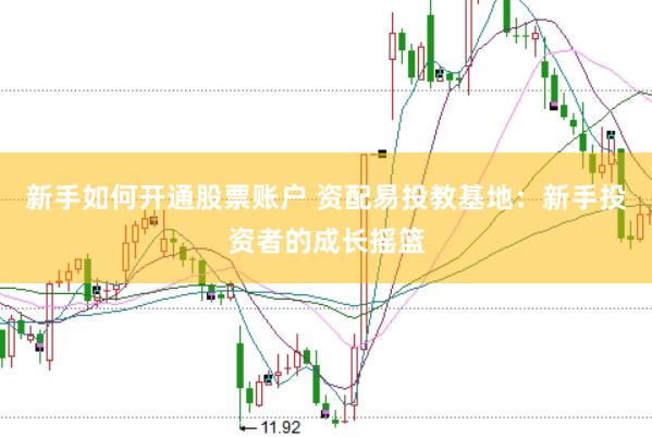 新手如何开通股票账户 资配易投教基地：新手投资者的成长摇篮