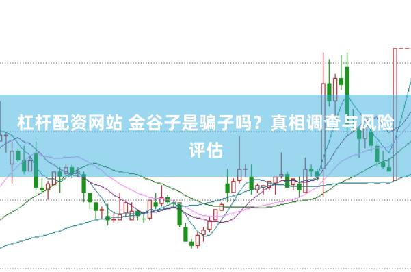 杠杆配资网站 金谷子是骗子吗？真相调查与风险评估