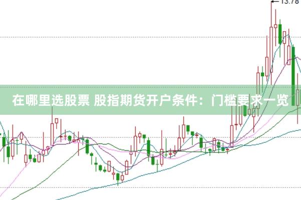在哪里选股票 股指期货开户条件：门槛要求一览