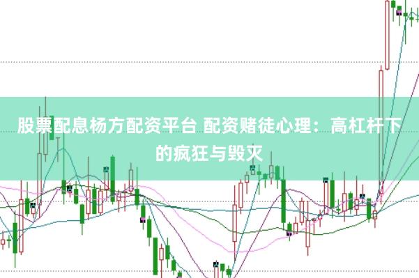 股票配息杨方配资平台 配资赌徒心理：高杠杆下的疯狂与毁灭