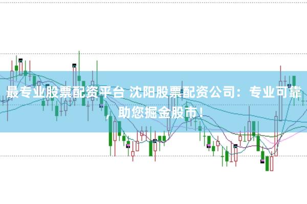 最专业股票配资平台 沈阳股票配资公司:专业可靠,助您掘金股市!