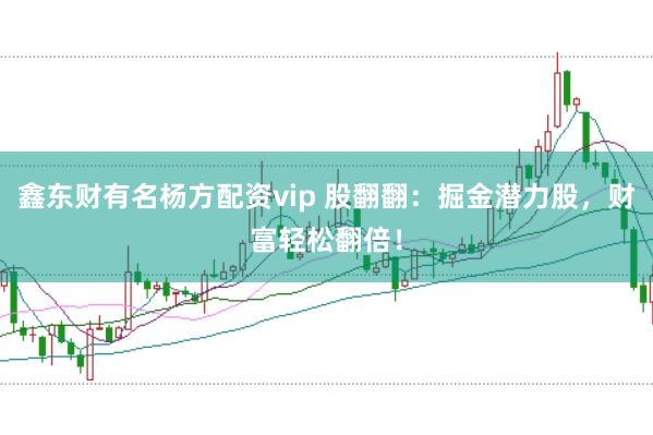 鑫东财有名杨方配资vip 股翻翻：掘金潜力股，财富轻松翻倍！