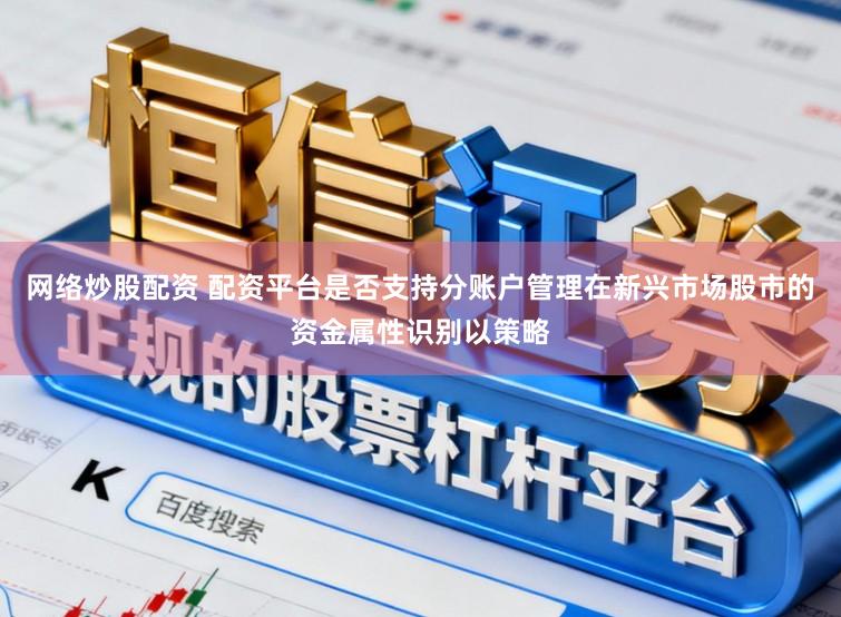 网络炒股配资 配资平台是否支持分账户管理在新兴市场股市的资金属性识别以策略