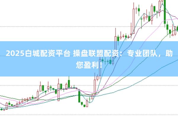 2025白城配资平台 操盘联盟配资：专业团队，助您盈利！